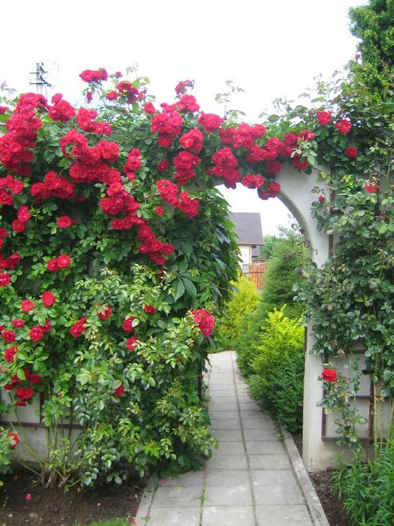 Bellavilla VNO Dış mekan fotoğraf